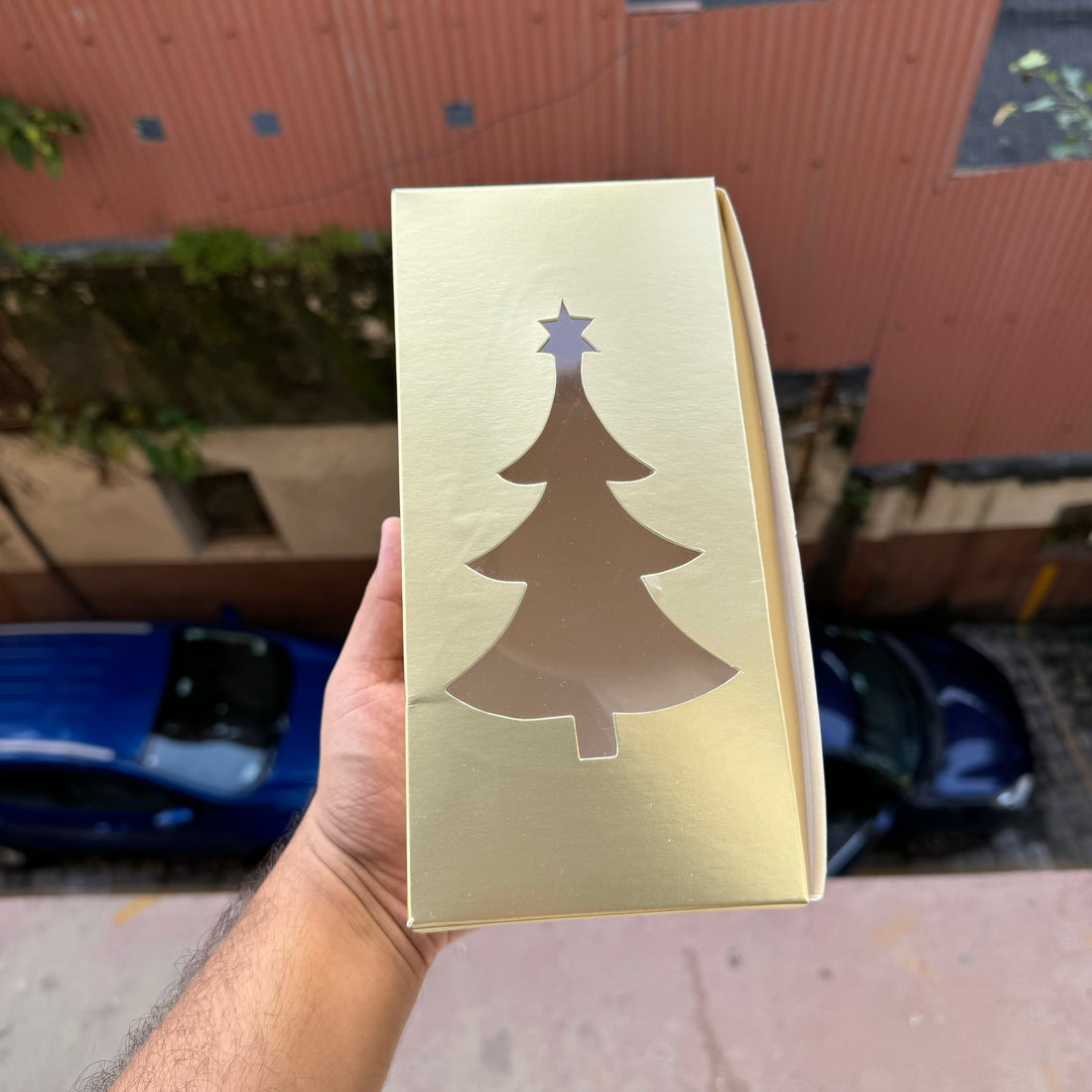 Christmas Plum Box 500gms (10pc)