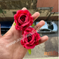 Fuchia Beauty Flower