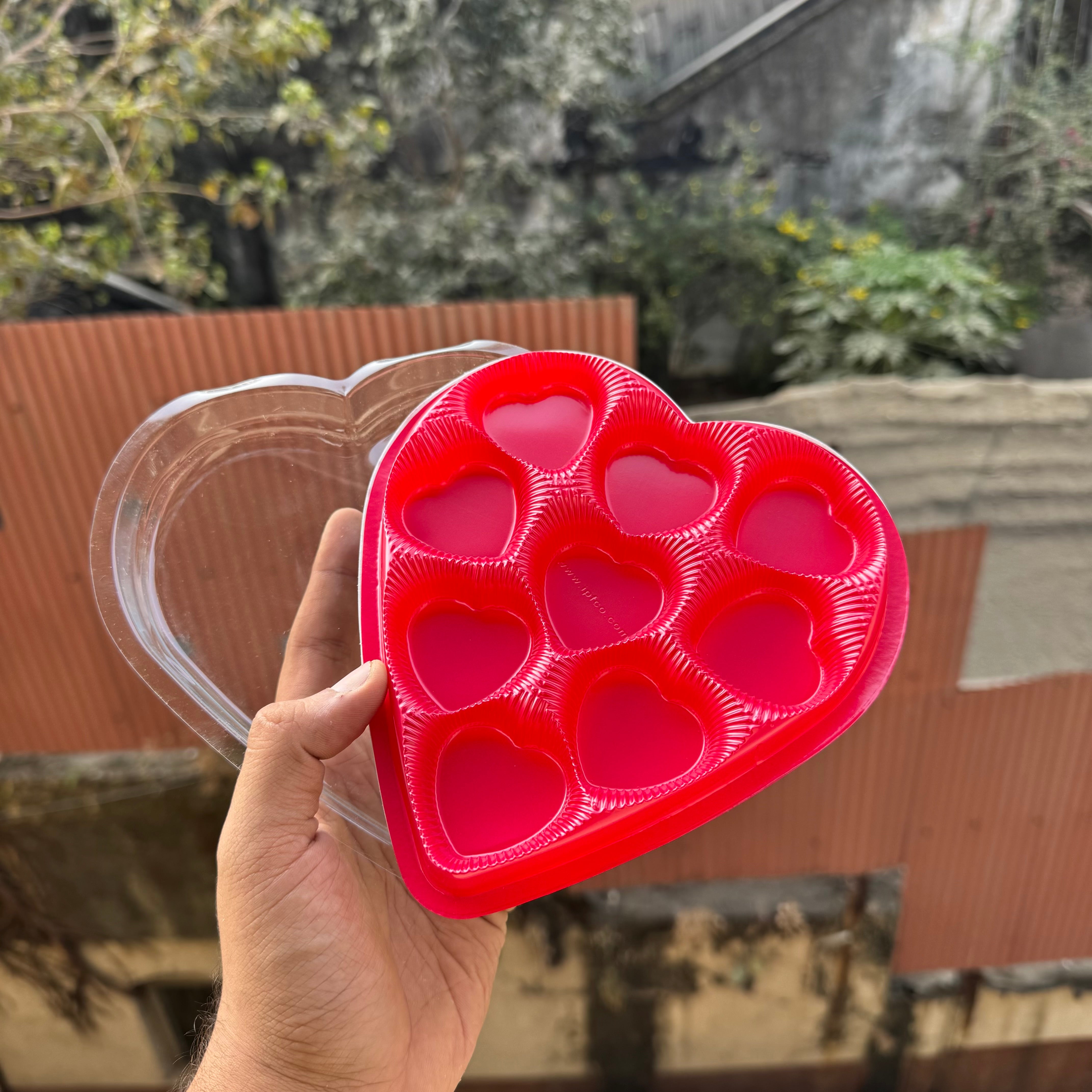 Heart Cavity Box (10pc)