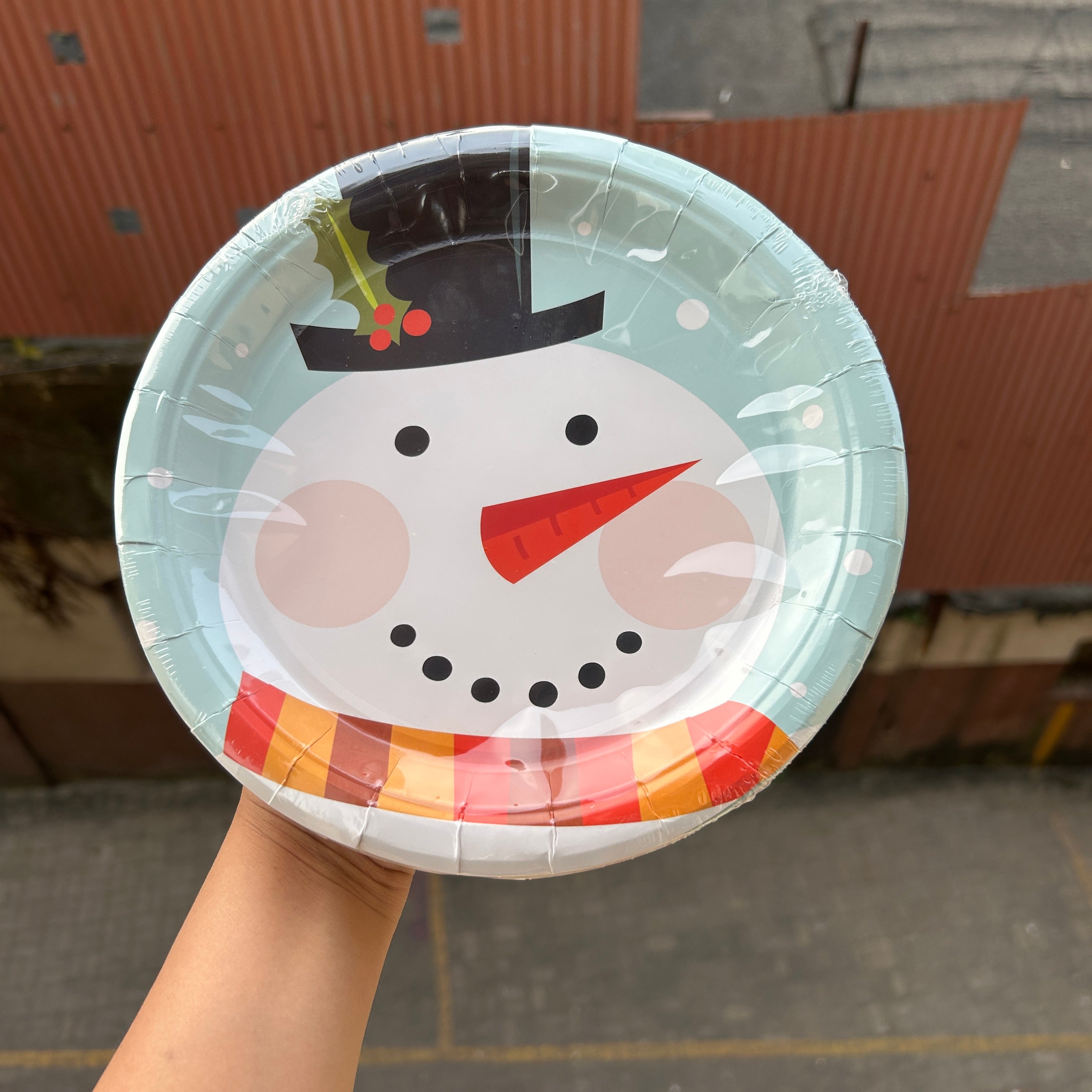 Christmas Disposable - Christmas Plates (10pc)