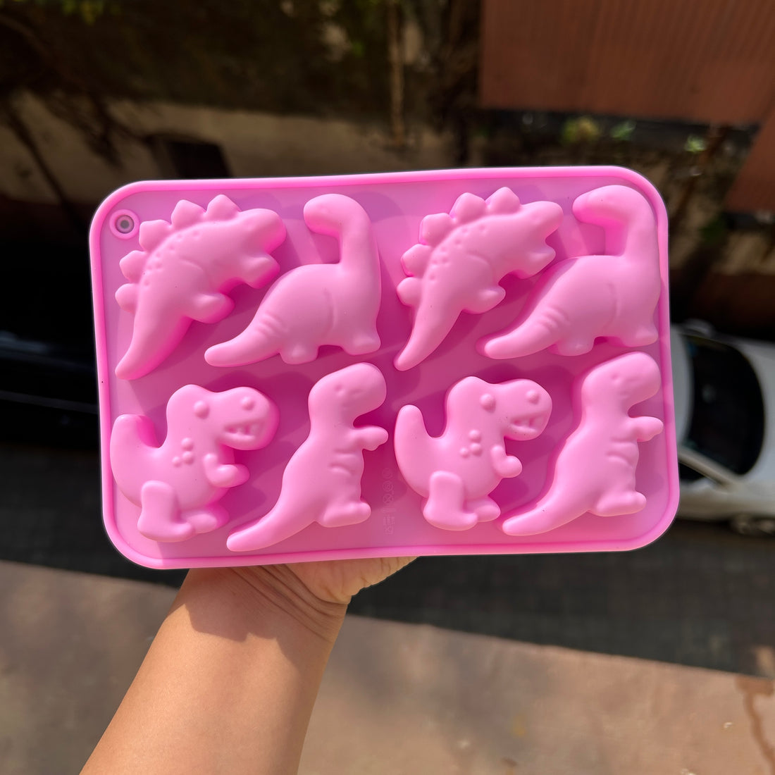 Dinosaur Silicon Mould