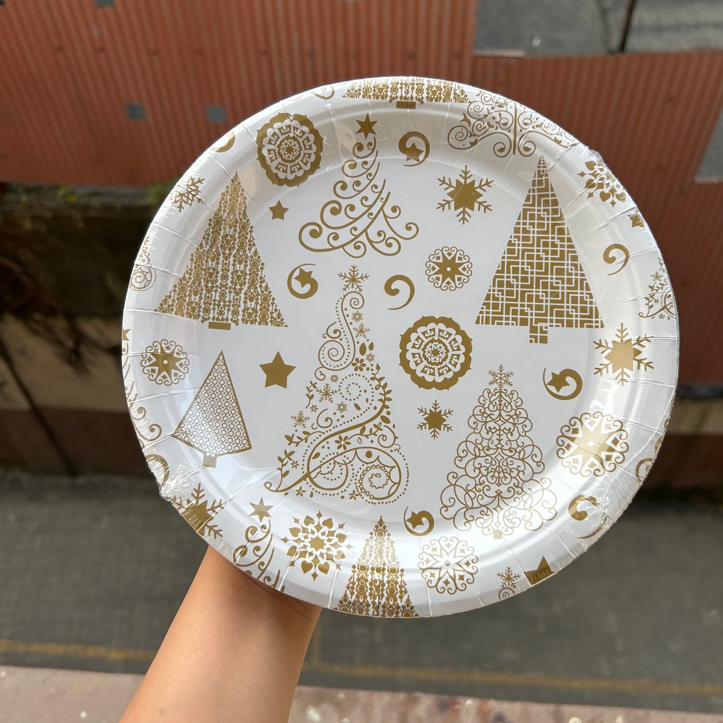 Christmas Disposable - Christmas Plates (10pc)