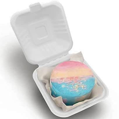 Bento Box 6 Inches (pack of 10)