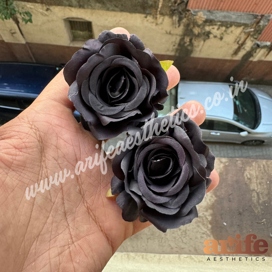 Black Beauty Flower