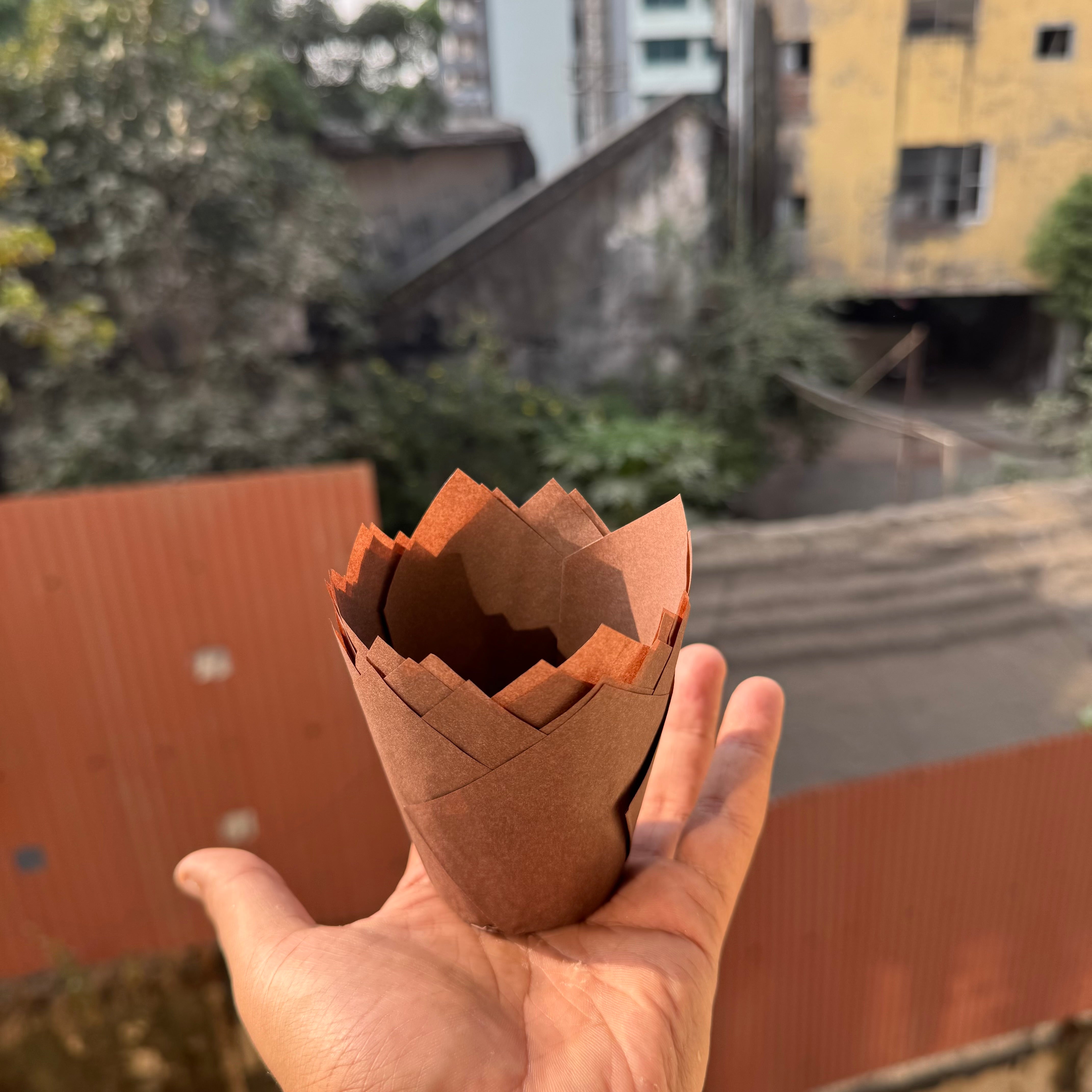 Tulip liner brown paper 50pcs