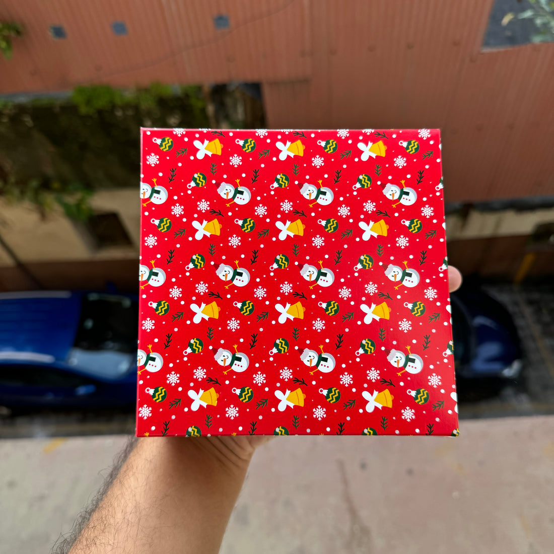 Christmas 4 Partition Box (10pc)