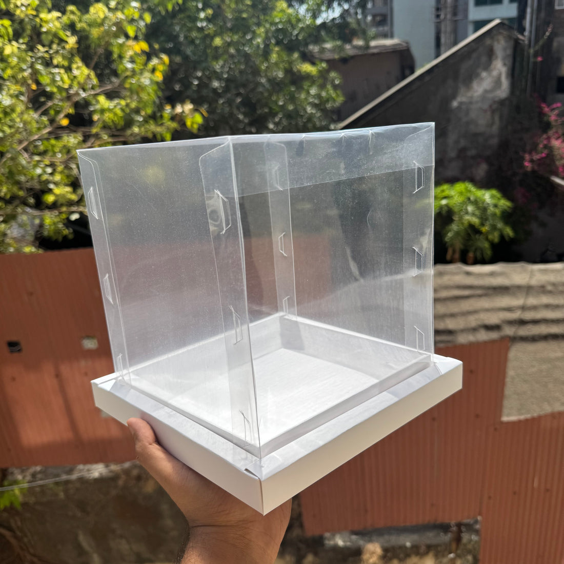 Full Display Cake Box 6x6x7inch 1pc