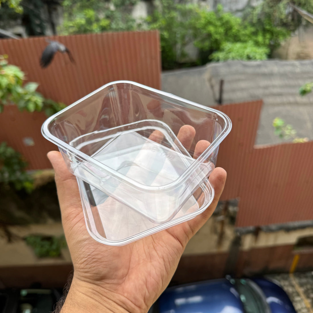 Trending Rectangle Tiramisu Plastic Containers With Lid (10pc)