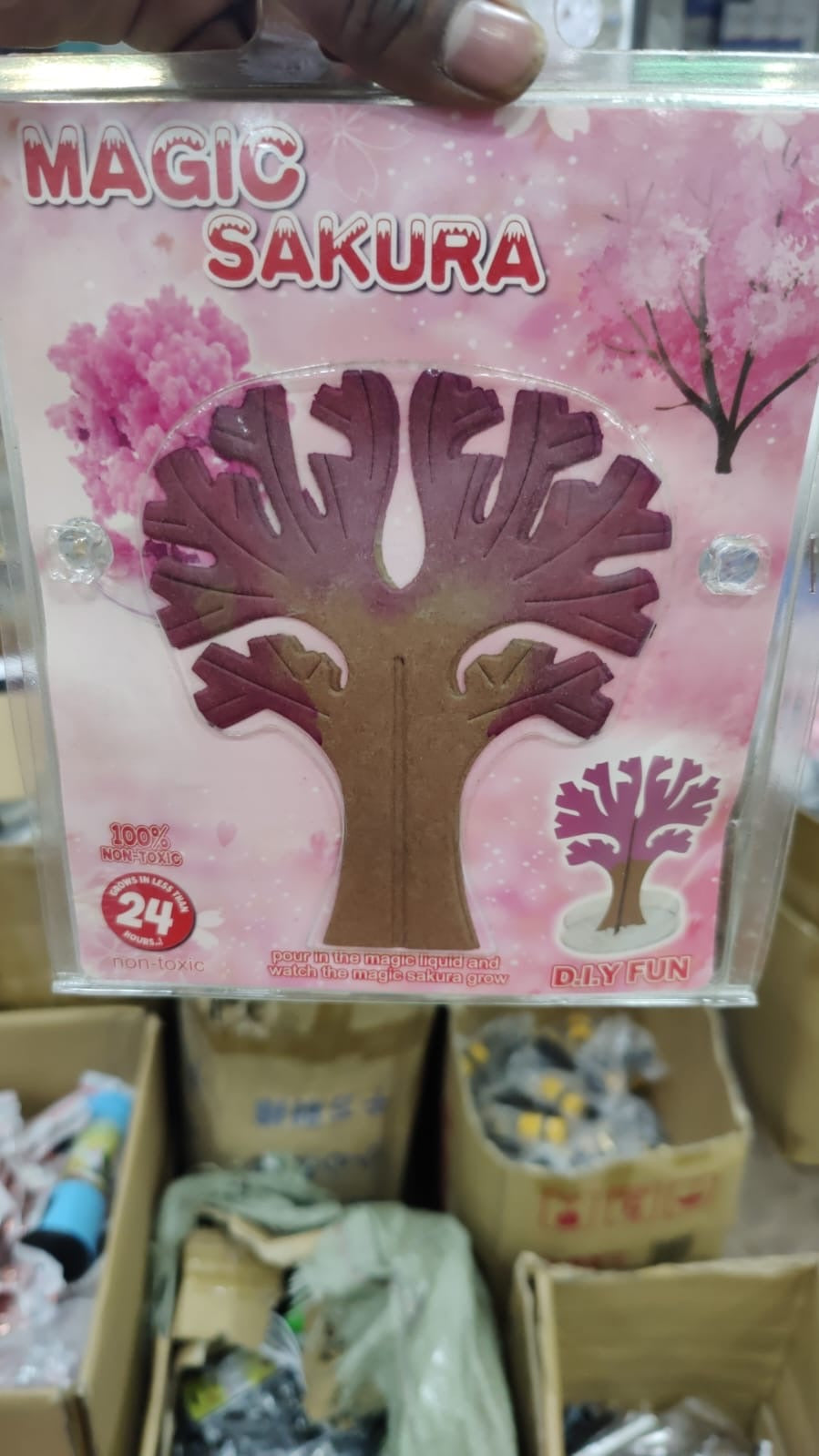 Magic Growing Sakura Tree