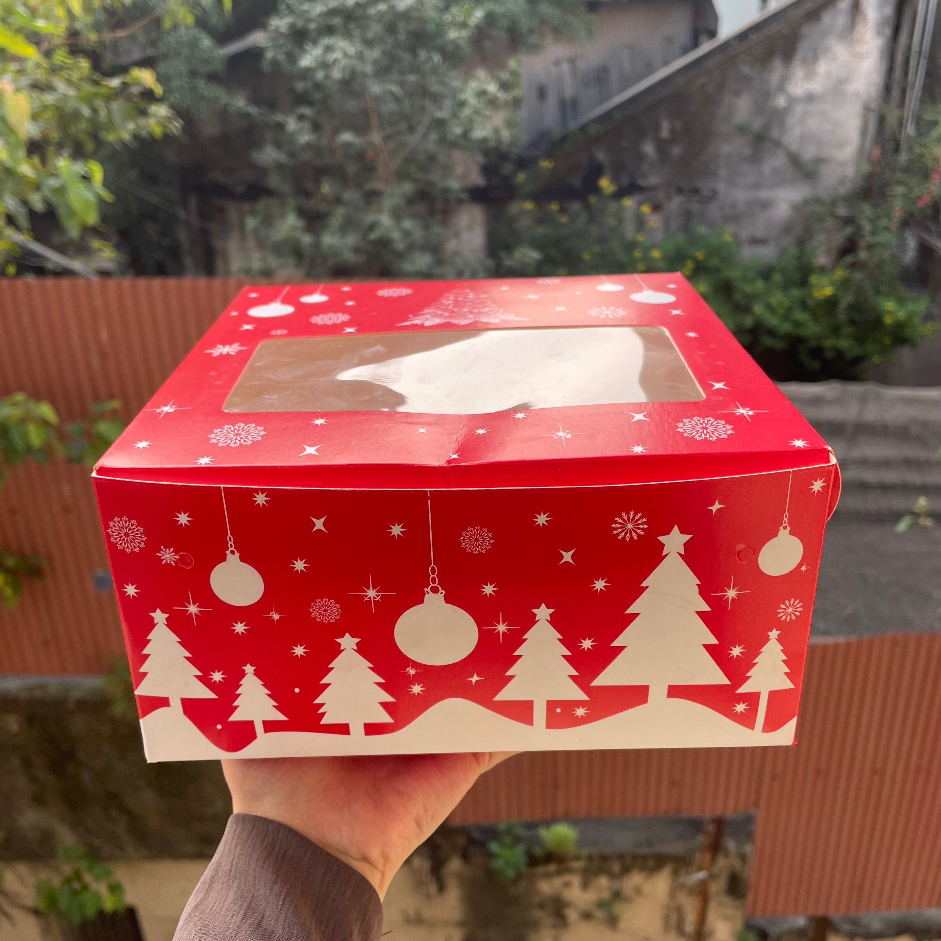 Christmas 1/2 kg cake box (10 pc)