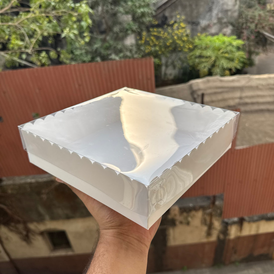 Square Frill Box With Lid (10pc) • BIG - WHITE
