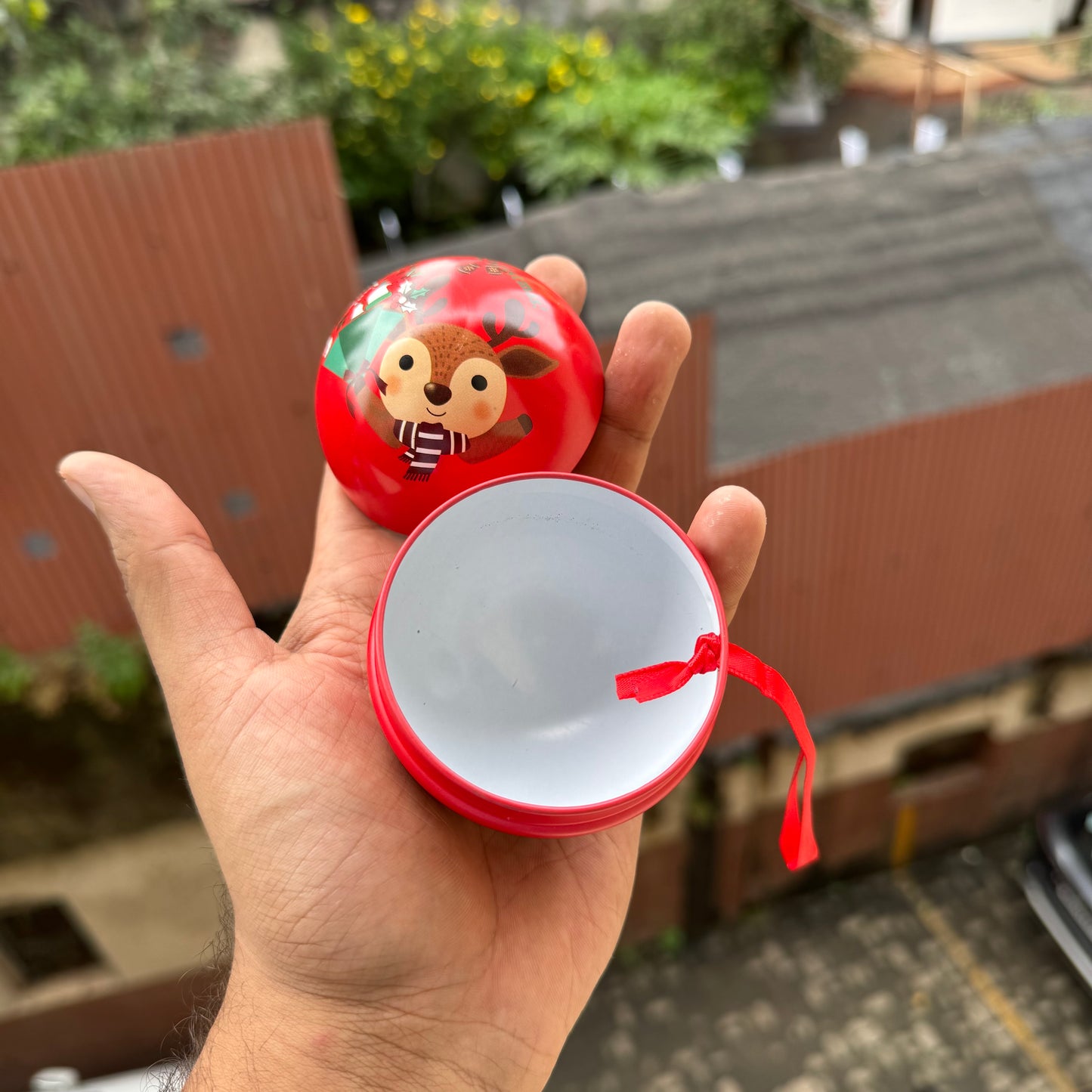 Christmas Ornament Box (6 pc)