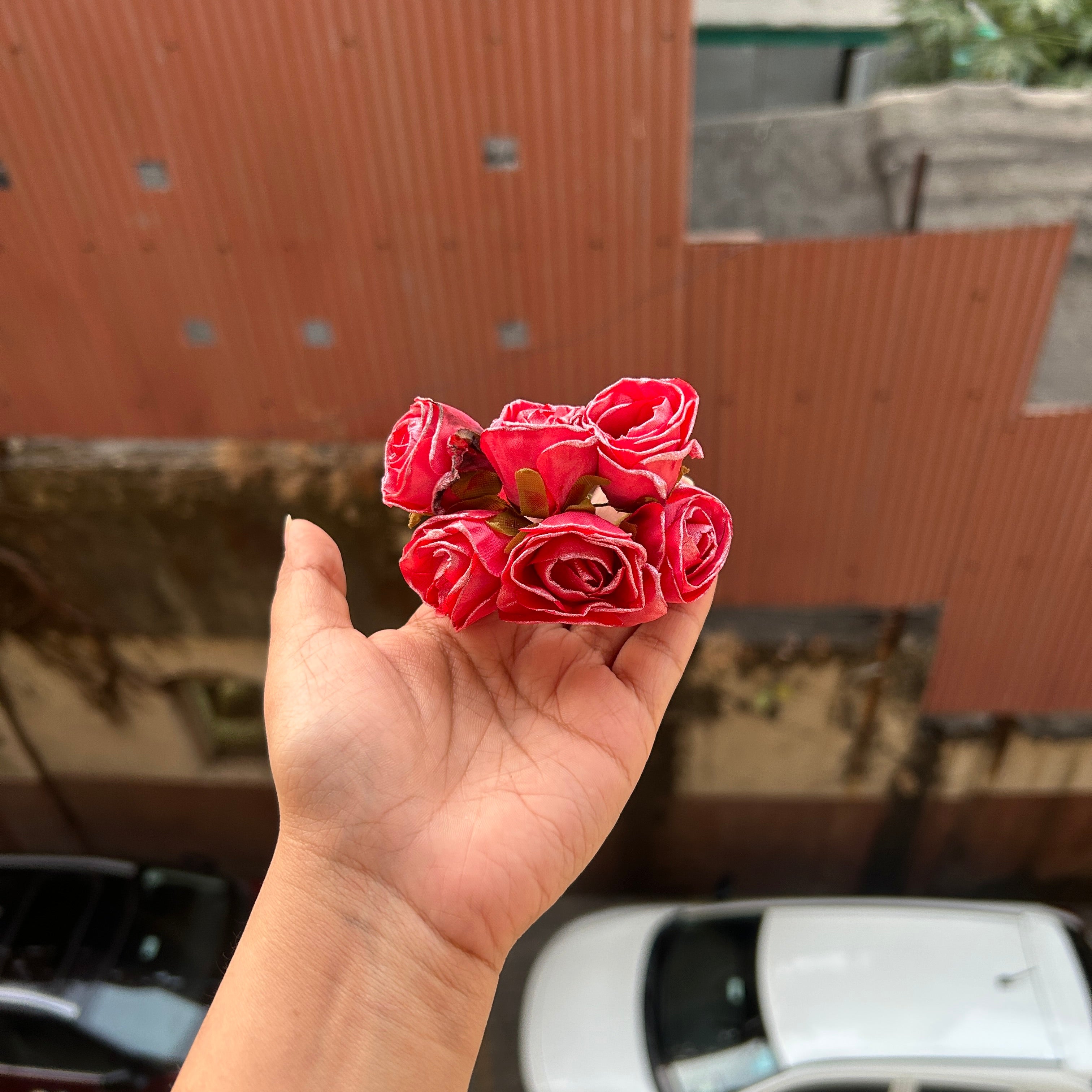 Glitter Dried Rose Flower Bunch (6flowers)