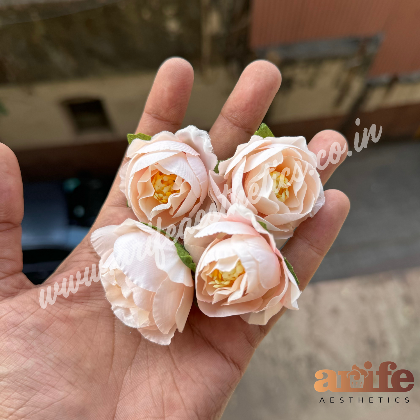 Peach Pop Flowers 5pc