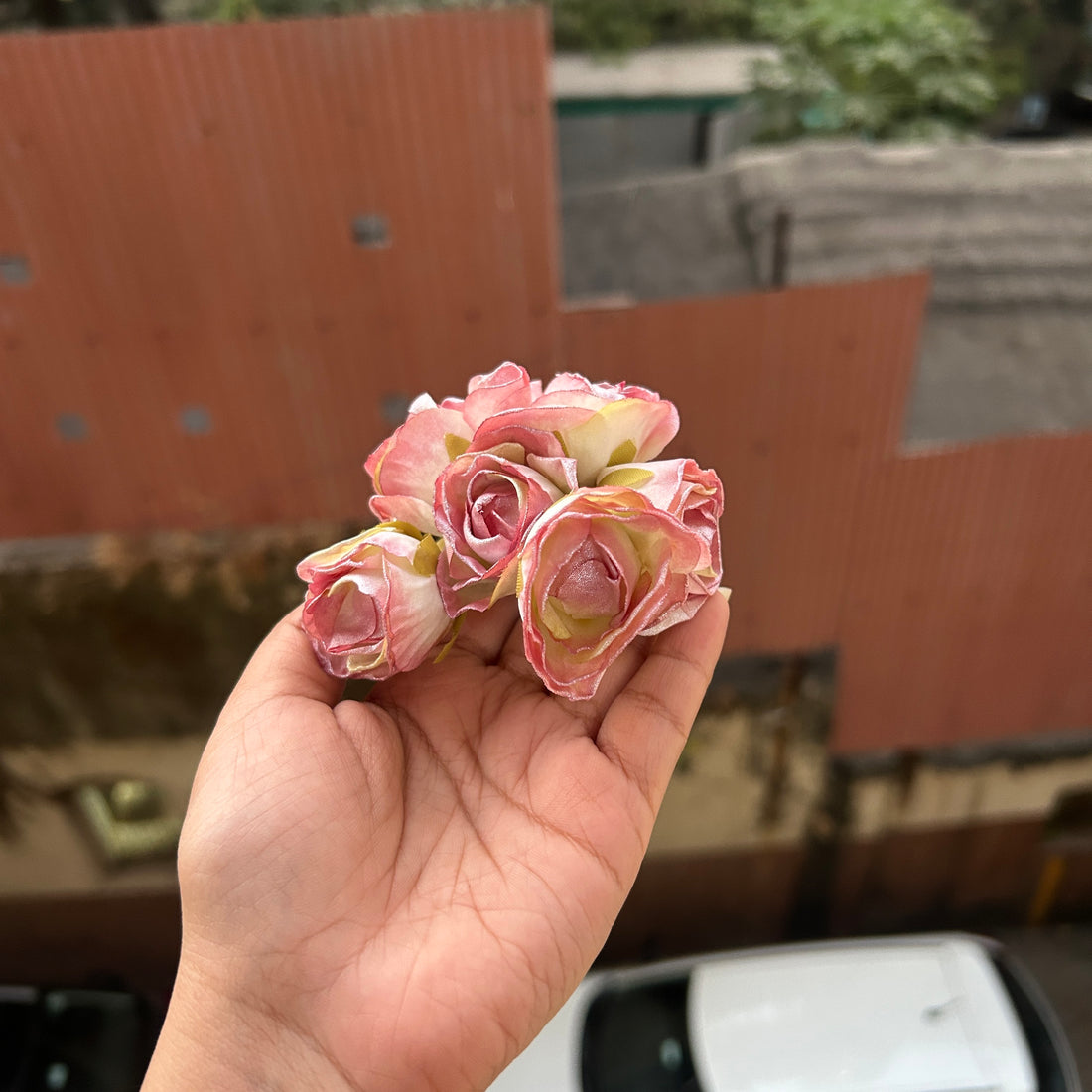 Glitter Dried Rose Flower Bunch (6flowers)