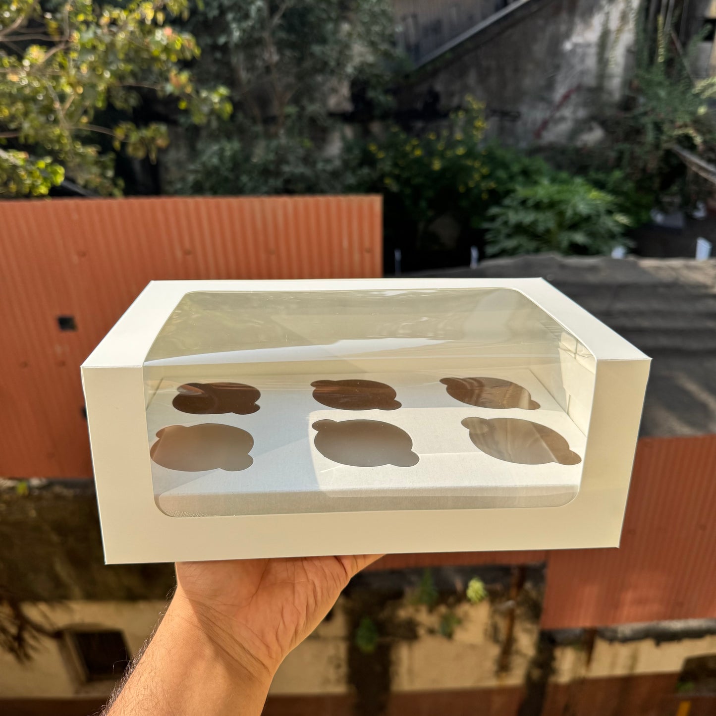 6 Cavity Cupcake Box White Window