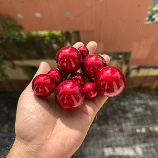 Cherry Red Faux Ball