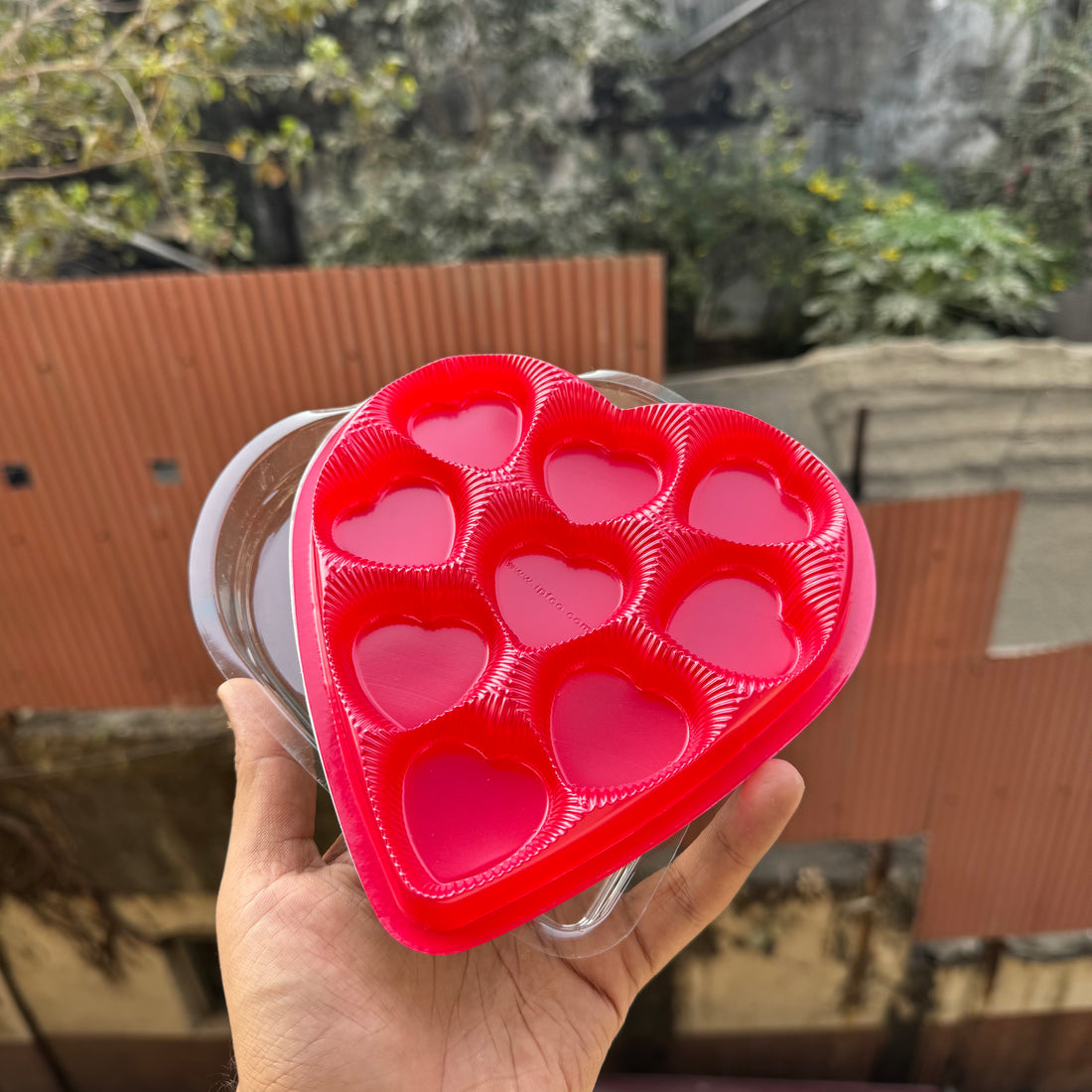 Heart Cavity Box (10pc)