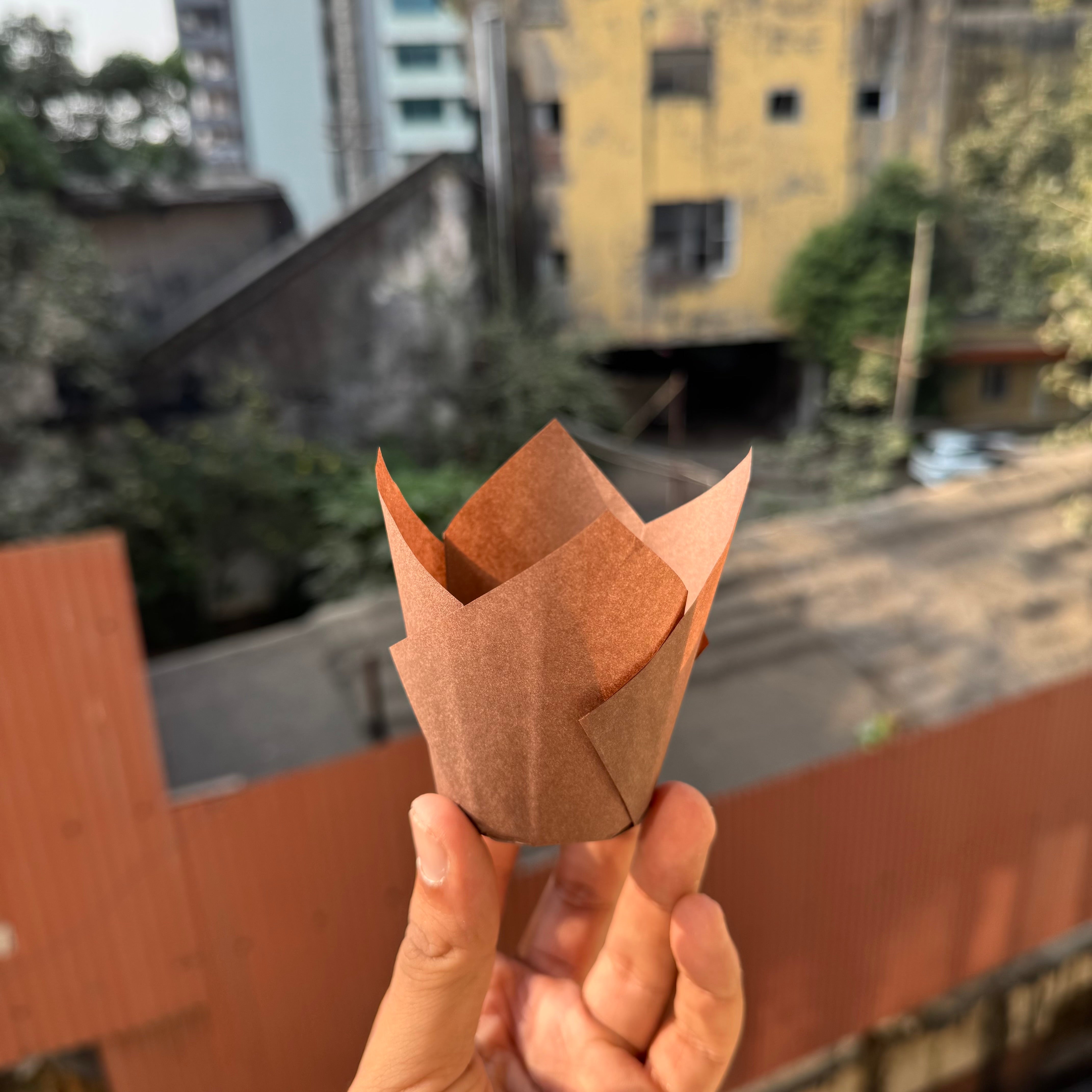 Tulip liner brown paper 50pcs