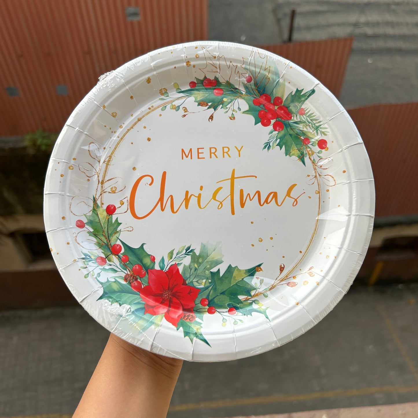 Christmas Disposable - Christmas Plates (10pc)