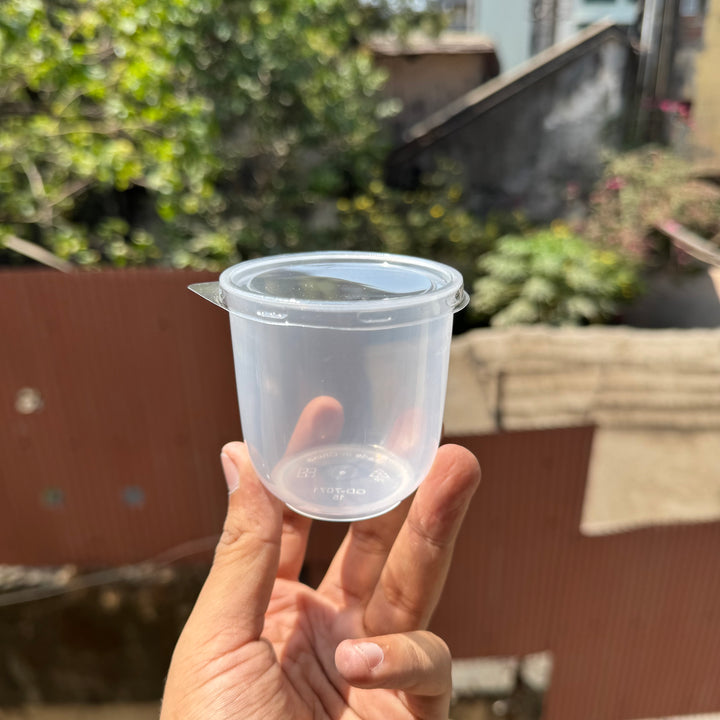 Frosted Dessert PET Container with Lid (10pc)