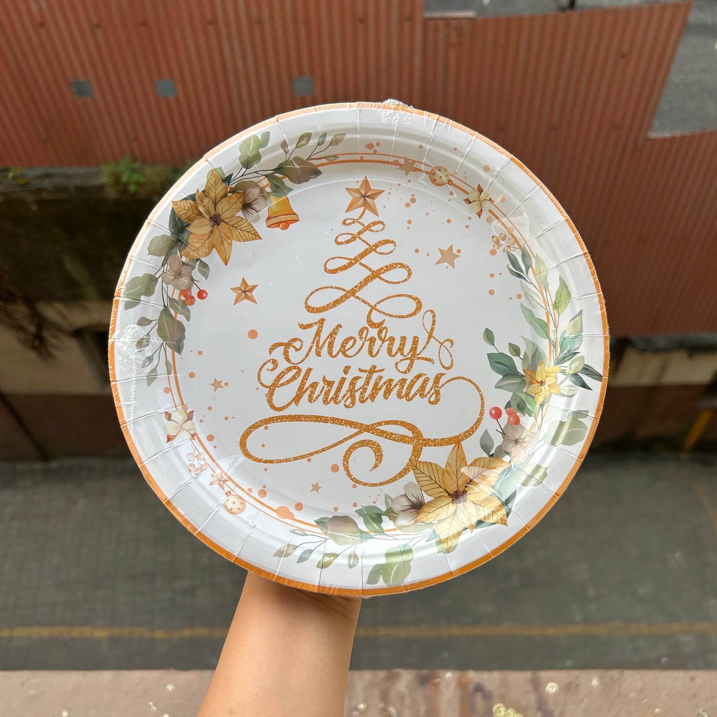 Christmas Disposable - Christmas Plates (10pc)