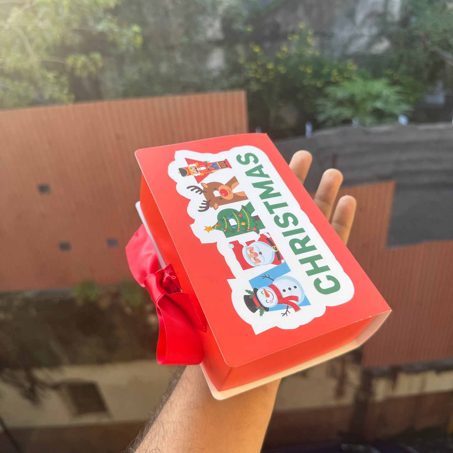 AWWsome Christmas Book Box (10pc)