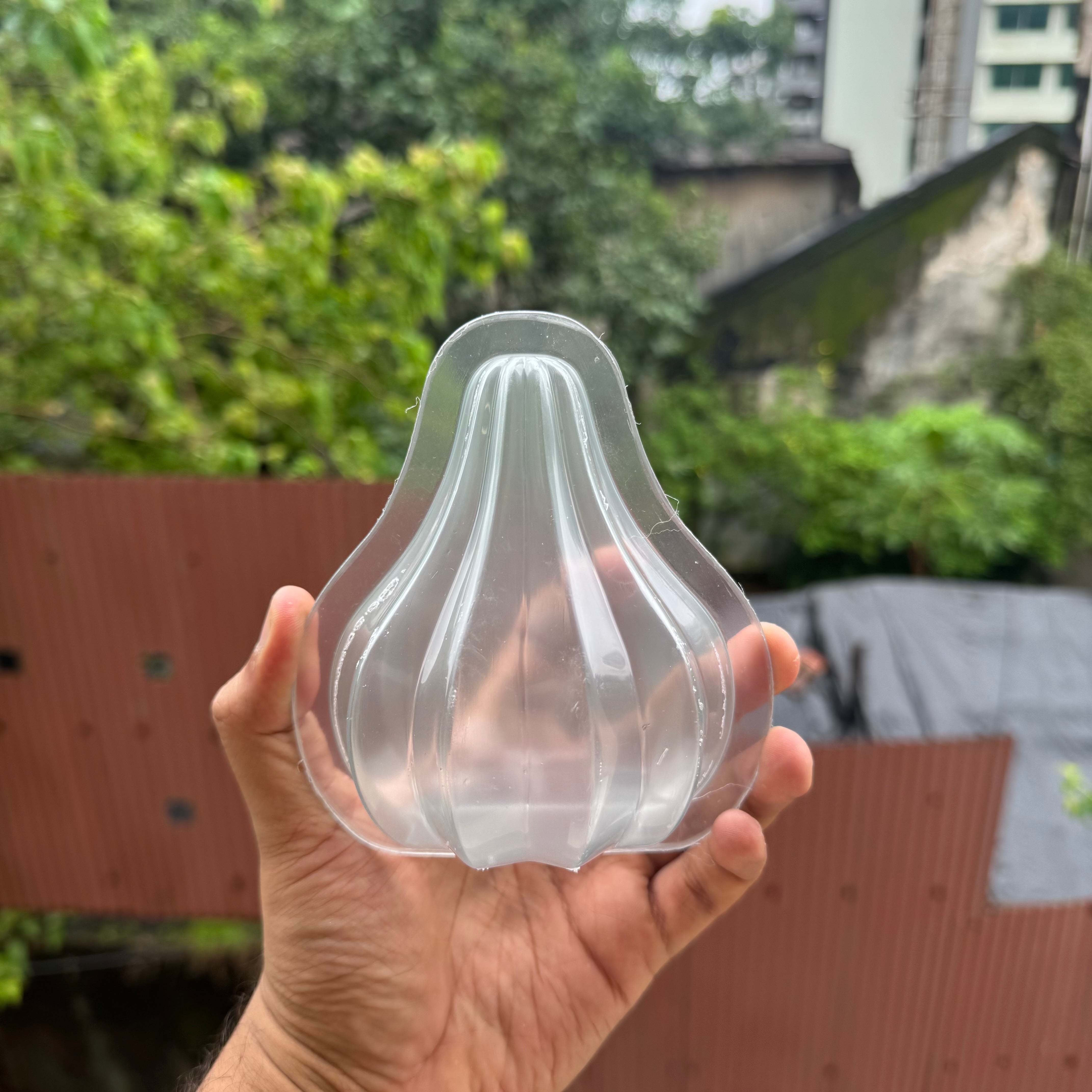 Jumbo Modak Mould (1pc)