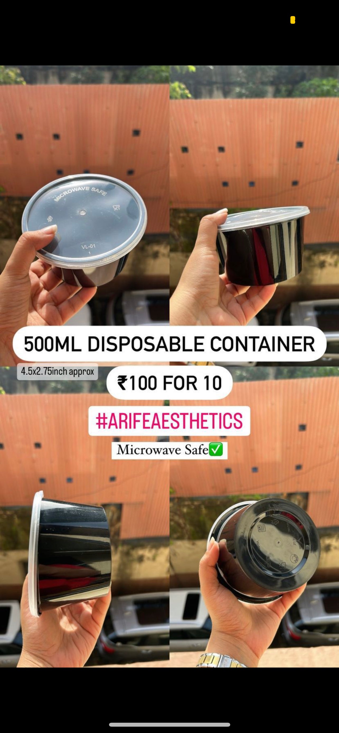 Disposable Containers (10 pc)
