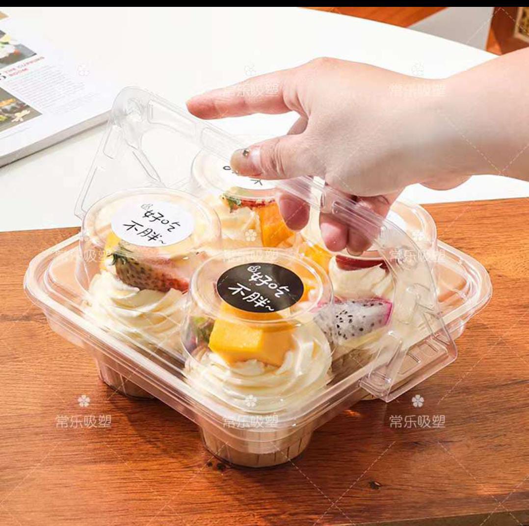 4 Bag Cupcake Container (Set Of 10)