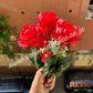 Red ABCD Artificial Flower Bunch