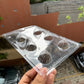 Modak Chocolate Cacao PVC Mould #084