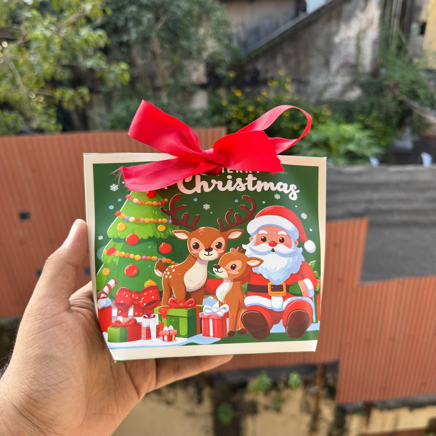 AWWsome Christmas Box (10pc)