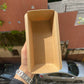 Bake and Serve Plum / Loaf Cake Mould (10pcs)