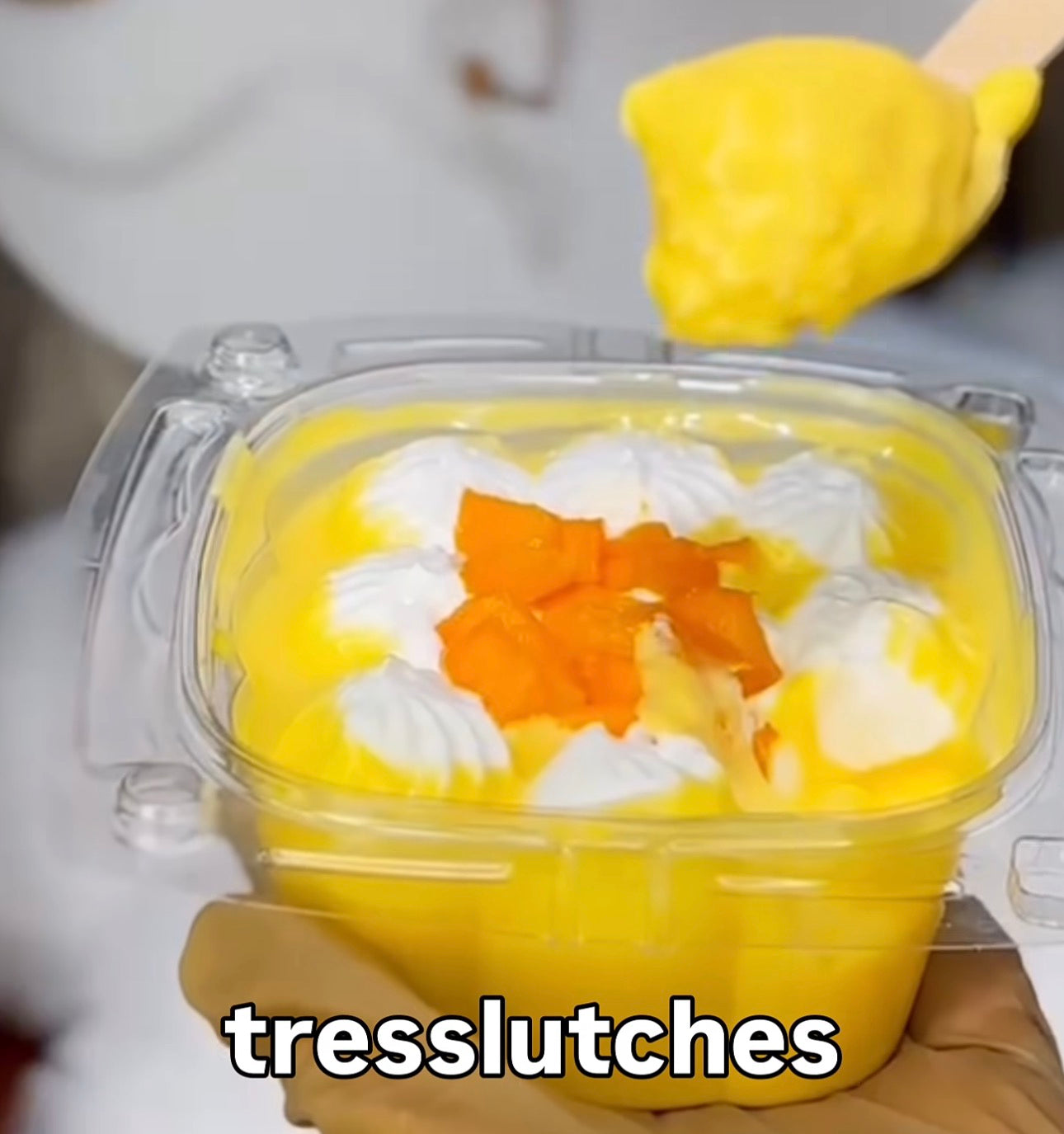Bag Dessert Container PVC (10pcs)