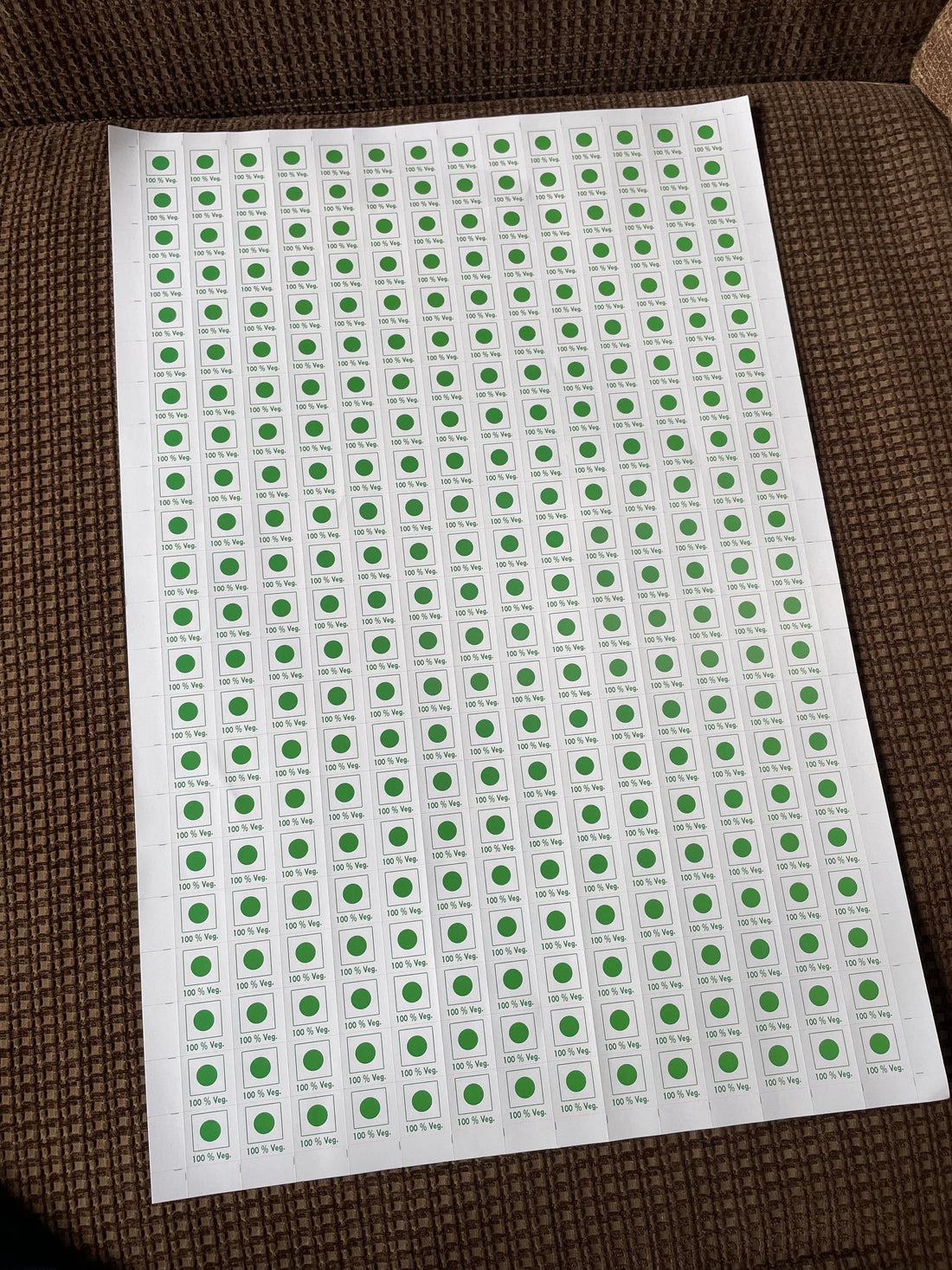 Veg Sticker 308pcs