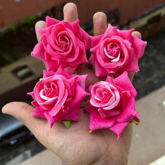 Korean Roses