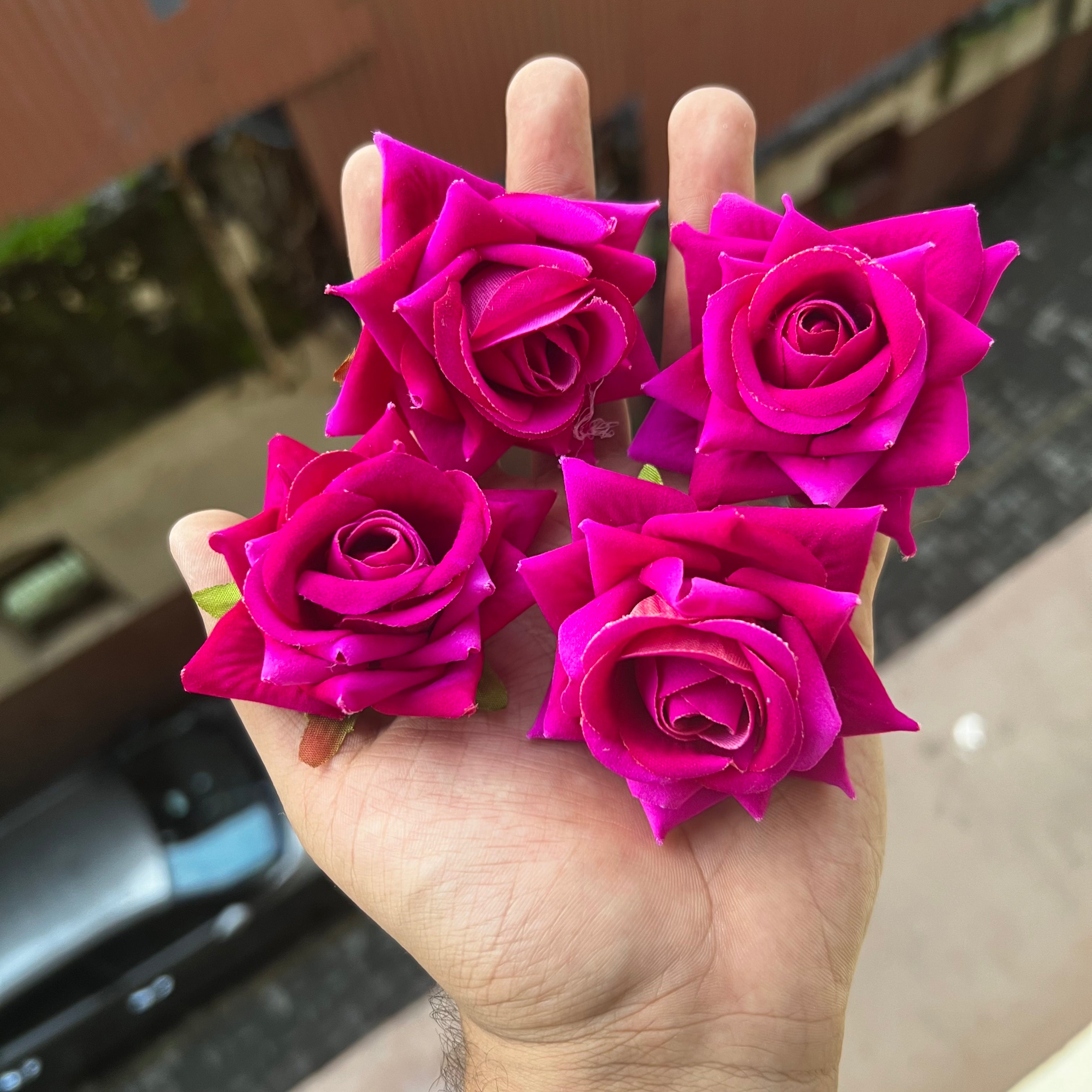 Korean Roses