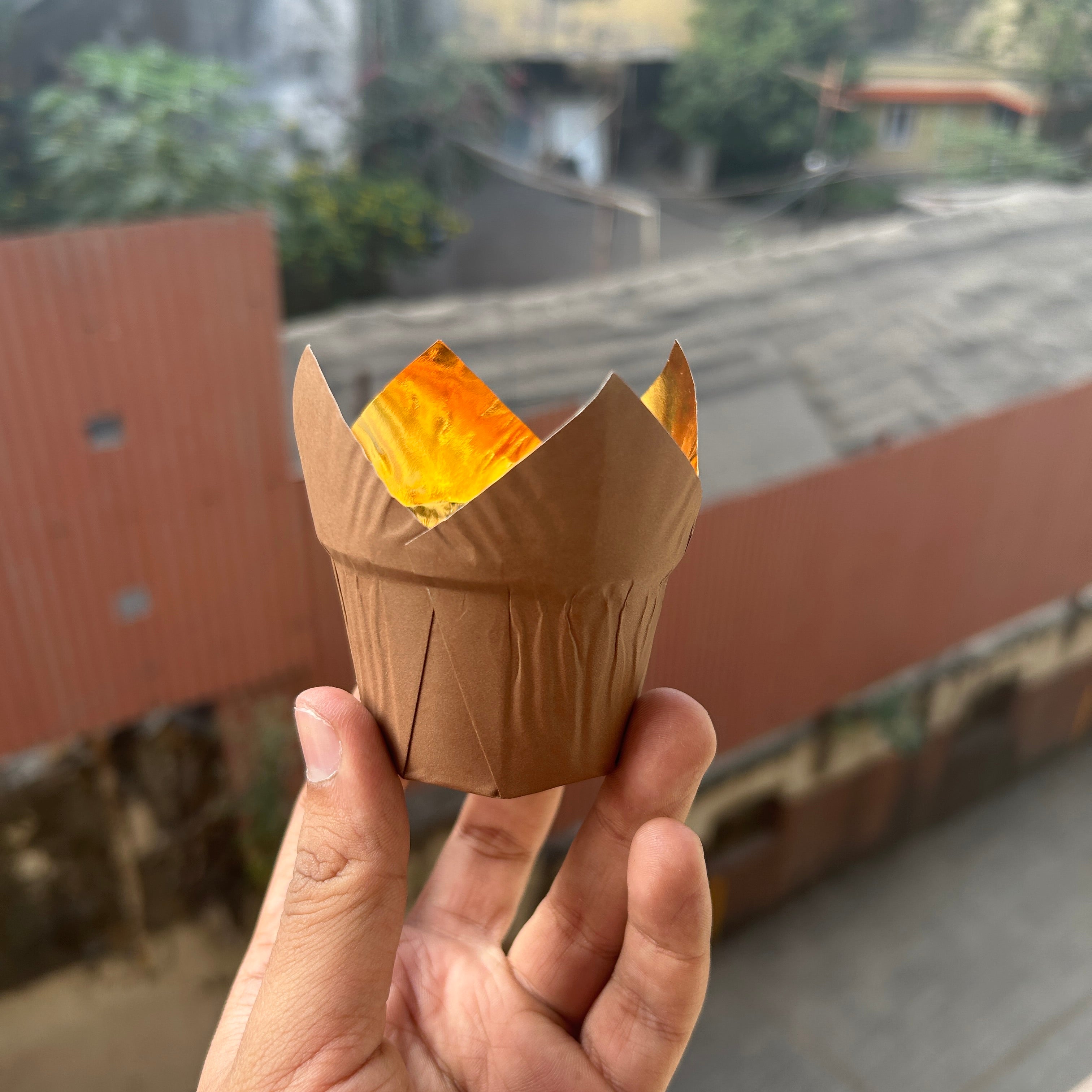 Brown Tulip Liner Metallic 50pcs Pack