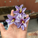 Lily Purple - Artificial Flower - 10pcs