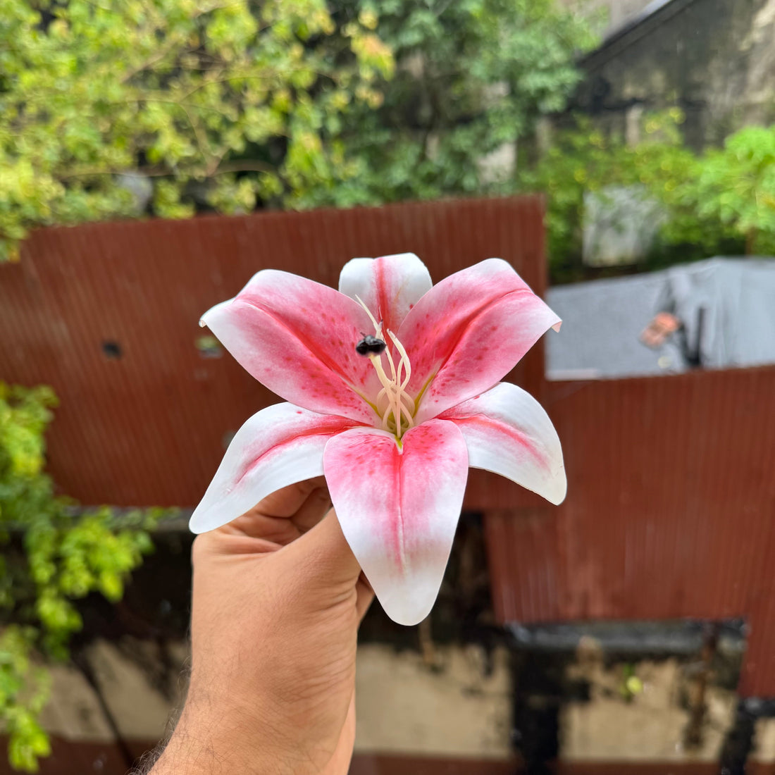 Artificial Lily Flower Pink 1pc - Arife.Aesthetics