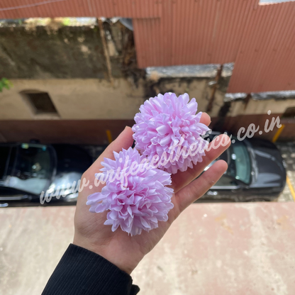 Shaded Pink Dahlia Flower