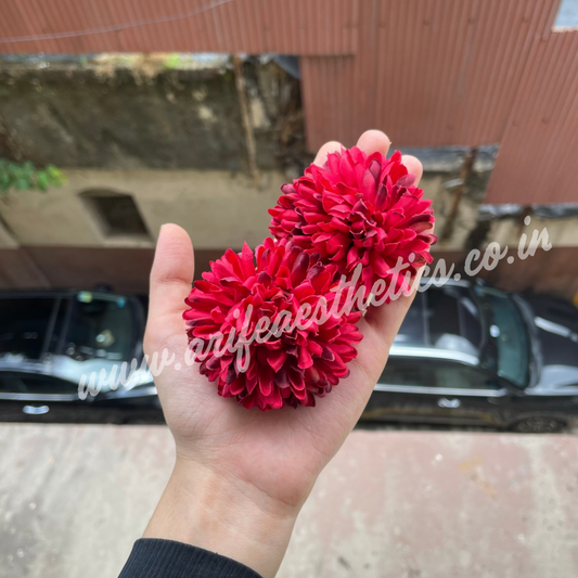 Red Dahlia Flower