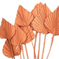 Natural Palm Leaf For Cake Decoration ( 1 Pc Pack )